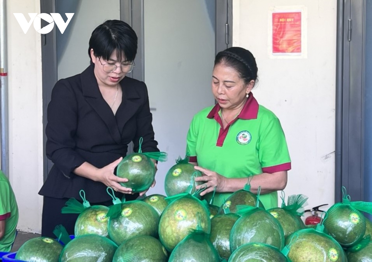 Đưa sầu riêng, bưởi da xanh miền núi lên sàn thương mại điện tử